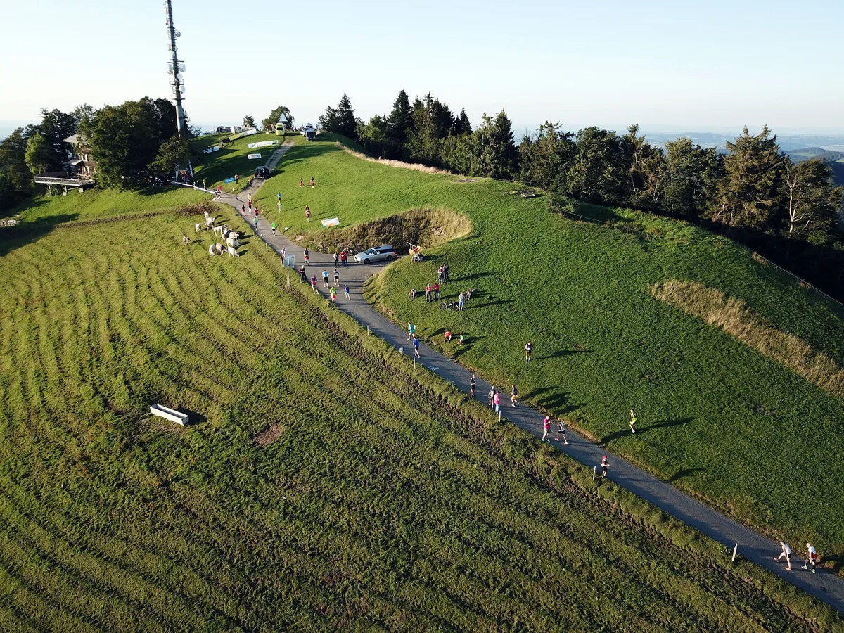Berglaufcup 2019, Steg, Hörnli, August 2019
